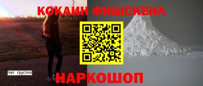 jwh Камышлов