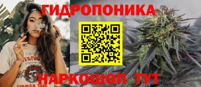 дмт Кандалакша