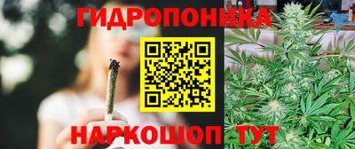 дмт Кандалакша