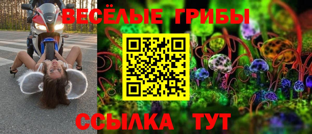 Галлюциногенные грибы мицелий Лосино-Петровский