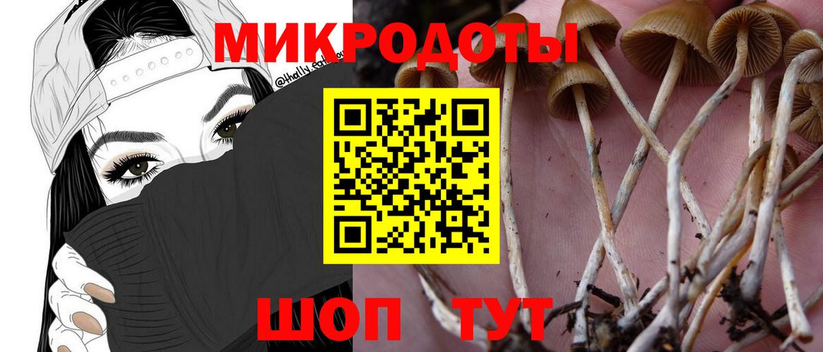 Лосино-Петровский  Галлюциногенные грибы прущие грибы  Вход с VPN 